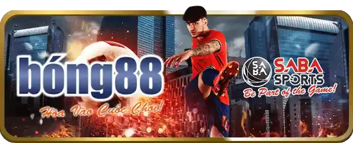 Cập nhật kết quả trực tiếp